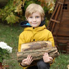 Мальчик собирает дрова