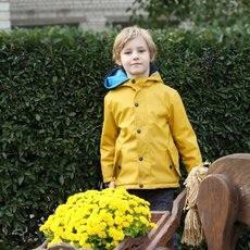 Візок жовтих хризантем