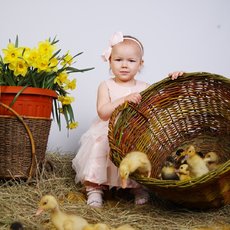 Цілий кошик жовтих грудочок