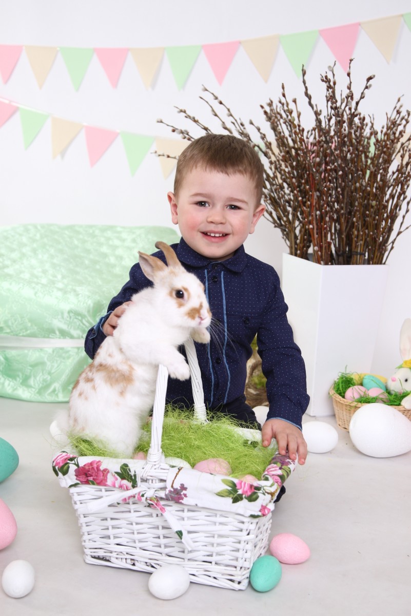 Весняна фотосессія хлопчика з кроликом